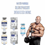 beginner bulk